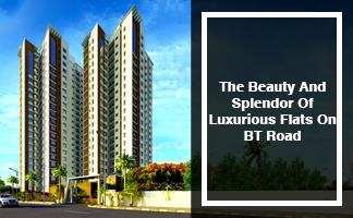 The Beauty And Splendor Of Luxurious Flats On BT Road